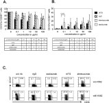 [PDF] Targeting of Natural Killer Cells by Rabbit Antithymocyte Globulin and Campath-1H: Similar Effects Independent of... 