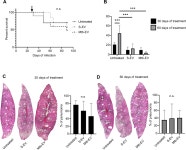 [PDF] Extracellular vesicles released by J774A.1 macrophages reduce the bacterial load in macrophages and in an experimental... 