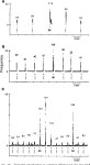 [PDF] Warm-sensitive afferent splanchnic C-fiber units in vitro. | Semantic Scholar