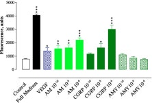 [PDF] Adrenomedullin and CGRP interact with endogenous calcitonin-receptor-like receptor in endothelial cells and induce its... 