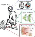 Pain of skin | Semantic Scholar