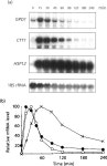 Different signalling pathways contribute to the control of GPD1 gene expression by osmotic stress in Saccharomyces cerevisiae.... 