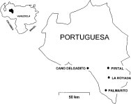 Natural rodent host associations of Guanarito and pirital viruses (Family Arenaviridae) in central Venezuela. | Semantic Scholar