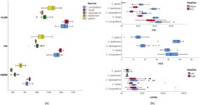 [PDF] Morphometric Analysis of Coptotermes spp. Soldier Caste (Blattodea: Rhinotermitidae) in Indonesia and Evidence of... 