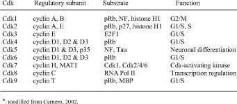 Regulation of G1/S Cell Cycle Progression by Transforming Growth Factor-beta | Semantic Scholar