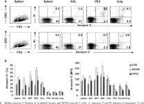 [PDF] Preapoptotic Phenotype of Viral Epitope-Specific CD8 T Cells Precludes Memory Development and Is an Intrinsic Property of... 