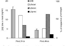 Stage dependent influences of polydnaviruses and the parasitoid larva on host ecdysteroids. | Semantic Scholar