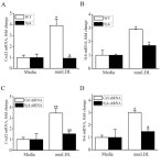 [PDF] Spleen Tyrosine Kinase Regulates AP-1 Dependent Transcriptional Response to Minimally Oxidized LDL | Semantic Scholar