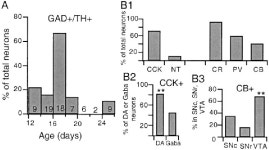 methyllycaconitine | Semantic Scholar
