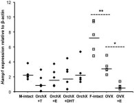 mRNA regulation of cardiac iron transporters and ferritin subunits in a mouse model of iron overload. | Semantic Scholar
