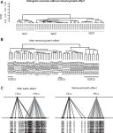 [PDF] Functional modules distinguish human induced pluripotent stem cells from embryonic stem cells. | Semantic Scholar