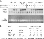 The Role of Phosphatidylcholine Biosynthesis in the Regulation of the INO1 Gene of Yeast* | Semantic Scholar