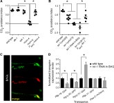Toll-like Receptor Signaling Promotes Development and Function of Sensory Neurons Required for a C. elegans Pathogen-Avoidance... 