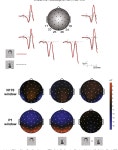 The N170, not the P1, indexes the earliest time for categorical perception of faces, regardless of interstimulus variance... 
