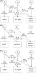 Evidence for shared genetic risk between ADHD symptoms and reduced mathematics ability: a twin study. | Semantic Scholar