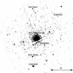 [PDF] XMM-Newton observations of the isolated neutron star RX J0806.4-4123 | Semantic Scholar