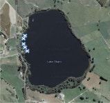 The parasite release hypothesis and the success of invasive fish in New Zealand | Semantic Scholar