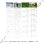 Efficient local and global contour detection based on superpixels | Semantic Scholar