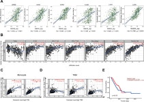 [PDF] Increased SNX20 and PD-L1 Levels Can Predict the Clinical Response to PD-1 Inhibitors in Lung Adenocarcinoma | Semantic Scholar