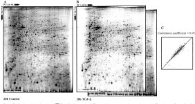 S100A11 protein, human | Semantic Scholar