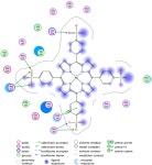 [PDF] Binding of Gold(III) Porphyrin by the Pro-metastatic Regulatory Protein Human Galectin-3 | Semantic Scholar