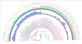 Comparative Genomic Analysis of Soil Dwelling Bacteria Utilizing a Combinational Codon Usage and Molecular Phylogenetic Approach... 