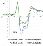 [PDF] Category expectations: A differential modulation of the N170 potential for faces and words | Semantic Scholar