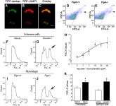[PDF] Reactivation of Lysosomal Ca2+ Efflux Rescues Abnormal Lysosomal Storage in FIG4-Deficient Cells | Semantic Scholar
