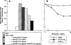 (IL-12R) Expression and Accumulation of IL-12Rβ1 and IL-12Rβ2 mRNAs in CD4+ T Cells by Costimulation with B7-2 Molecules... 