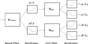 Temporal decorrelation: a theory of lagged and nonlagged responses in the lateral geniculate nucleus | Semantic Scholar