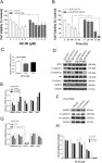 [PDF] Reversion of epithelial-mesenchymal transition by a novel agent DZ-50 via IGF binding protein-3 in prostate cancer cells... 