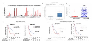 [PDF] Upregulation of KLK8 Predicts Poor Prognosis in Pancreatic Cancer | Semantic Scholar