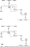 [PDF] Proposal of six new species in the genus Aureobacterium and transfer of Flavobacterium esteraromaticum Omelianski to the... 