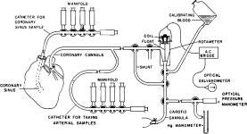 [PDF] A Comparison of Coronary Flow Determined by the Nitrous Oxide Method and by a Direct Method Using the Rotameter | Semantic... 