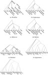 Discriminative object categorization with external semantic knowledge | Semantic Scholar