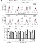 Structure of the Atg101–Atg13 complex reveals essential roles of Atg101 in autophagy initiation | Semantic Scholar