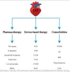 Reappraisal on pharmacological and mechanical treatments of heart failure | Semantic Scholar
