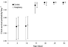 [PDF] BREEDING ECOLOGY OF THE ROYAL TERN (THALASSEUS MAXIMUS) AT ISLA EL RANCHO, MEXICO: COLONY SIZE AND NEST LOCATION AFFECT... 