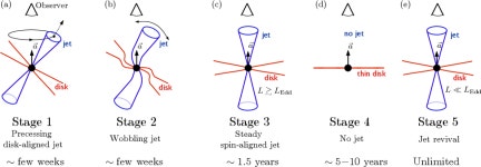 [PDF] Swift J1644+57 gone MAD: the case for dynamically-important magnetic flux threading the black hole in a jetted tidal... 