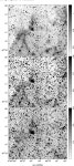 [PDF] Multi-frequency study of local group supernova remnants: the curious case of the Large Magellanic Cloud SNR J0528-6714... 