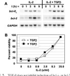 [PDF] Uncoupling of Promitogenic and Antiapoptotic Functions of IL-2 by Smad-Dependent TGF-β Signaling1 | Semantic Scholar