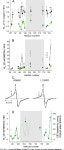 Salt-driven Equilibrium between Two Conformations in the HAMP Domain from Natronomonas pharaonis | Semantic Scholar