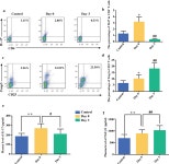 MiR-21 Participates in the PD-1/PD-L1 Pathway-Mediated Imbalance of Th17/Treg Cells in Patients After Gastric Cancer Resection... 