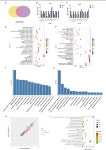 [PDF] ERO1L promotes IL6/sIL6R signaling and regulates MUC16 expression to promote CA125 secretion and the metastasis of lung... 