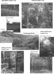 [PDF] On the efficiency of environmental service payments: A forest conservation assessment in the Osa Peninsula, Costa Rica... 