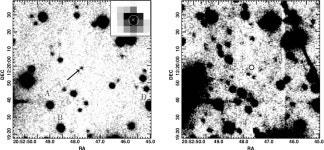 [PDF] Optical detection of the black widow binary PSR J2052+1219 | Semantic Scholar