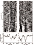 [PDF] THE 5 GHz ARECIBO SEARCH FOR RADIO FLARES FROM ULTRACOOL DWARFS | Semantic Scholar