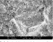 Biomaterials Surface Characterization and Modification | Semantic Scholar