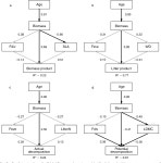 [PDF] Biomass is the main driver of changes in ecosystem process rates during tropical forest succession. | Semantic Scholar