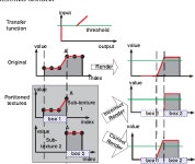[PDF] Texture Partitioning and Packing for Accelerating Texture-based Volume Rendering | Semantic Scholar